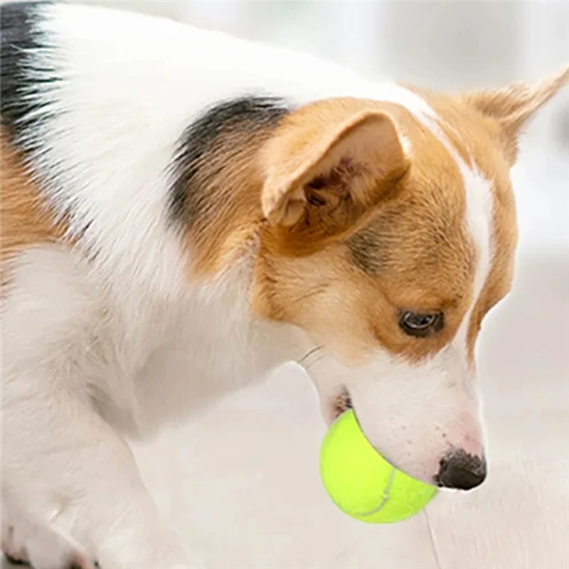AA81-Fun Interactive Machine Fun Interactive Catapult Throw Rechargable Dog Tennis Ball Launcher Dogs Chase Automatic Toys