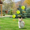 AA81-Fun Interactive Machine Fun Interactive Catapult Throw Rechargable Dog Tennis Ball Launcher Dogs Chase Automatic Toys