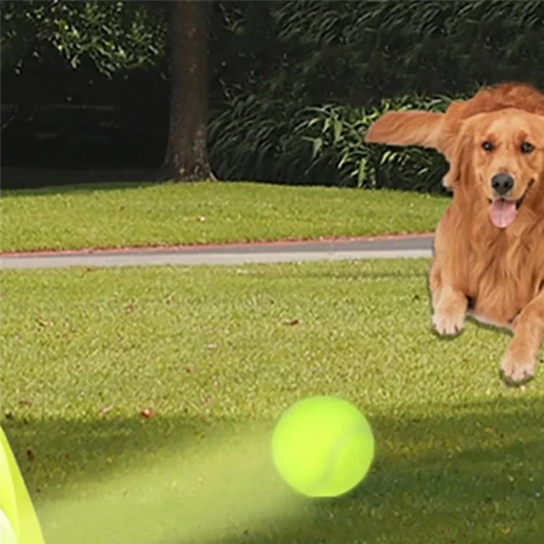 AA81-Fun Interactive Machine Fun Interactive Catapult Throw Rechargable Dog Tennis Ball Launcher Dogs Chase Automatic Toys