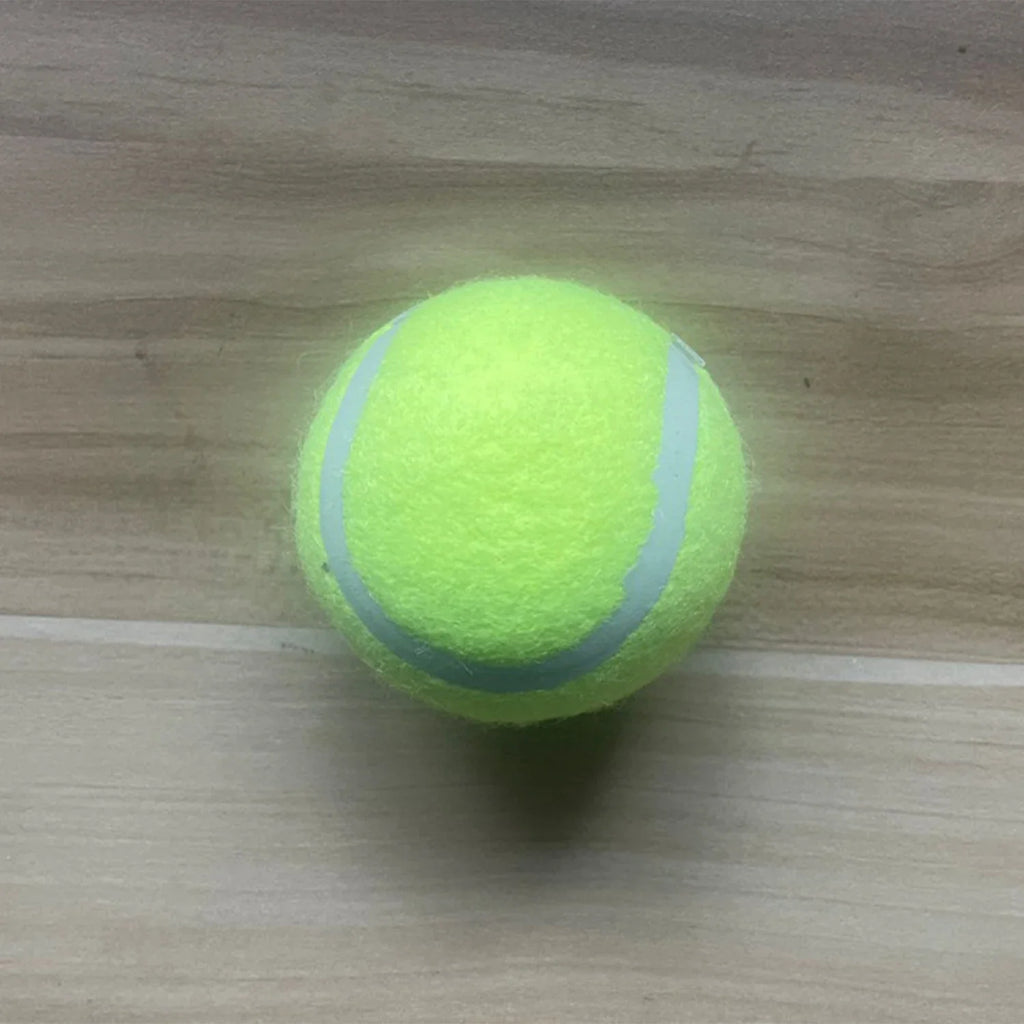 Dog Ball Launcher Toy Manual Tennis Ball Thrower for Dogs Outdoor Interactive Fetch Training Tool Pet Accessories Long Handle