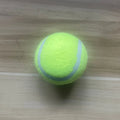 Dog Ball Launcher Toy Manual Tennis Ball Thrower for Dogs Outdoor Interactive Fetch Training Tool Pet Accessories Long Handle