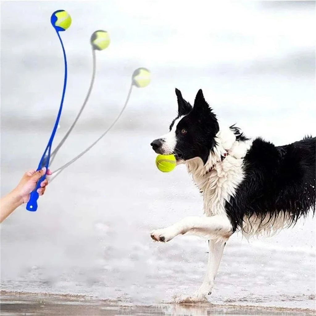 Pet Tennis Ball Launcher Set Outdoor Dog Interactive Training Toy Fetch Play Durable Ergonomic Handle Interactive Ball Picker